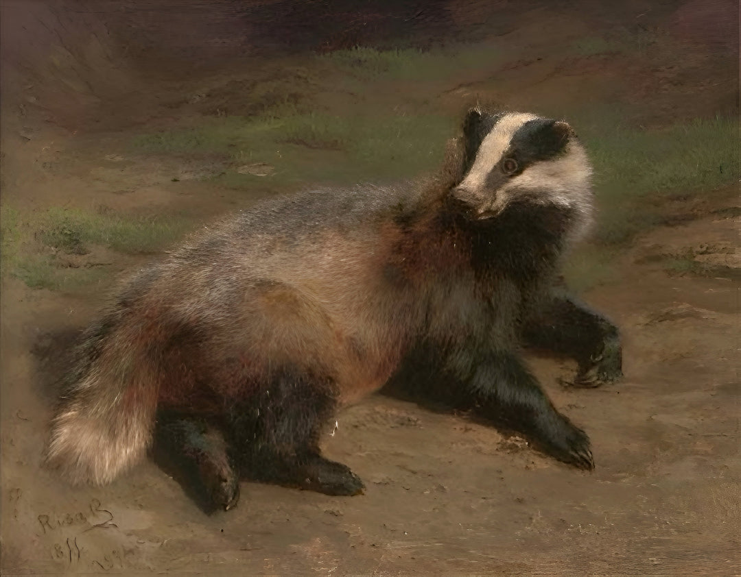 Un tejón descansando, Rosa Bonheur