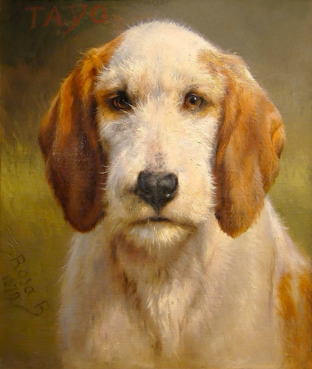Tayo, Rosa Bonheur