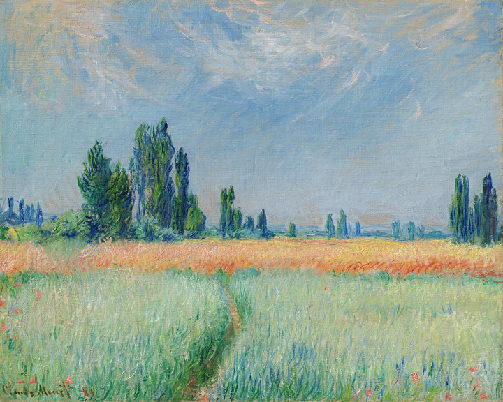 Campo de Trigo - Monet
